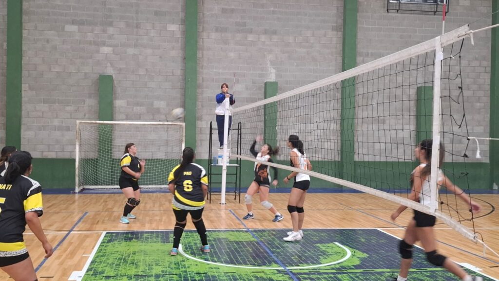 WhatsApp-Image-2025-03-22-at-17.38.03